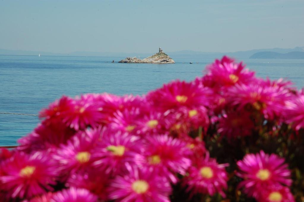 Hotel Villa Ombrosa Portoferraio Quarto foto